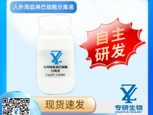 人外周血淋巴細胞分離液